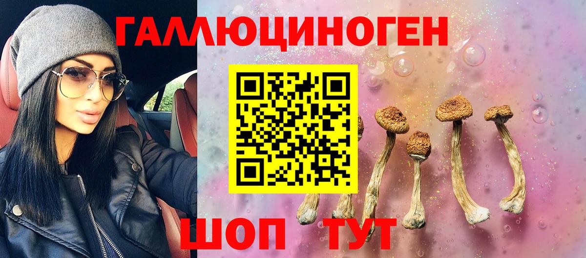 Малоярославец  Псилоцибиновые грибы Cubensis  Вход с VPN 