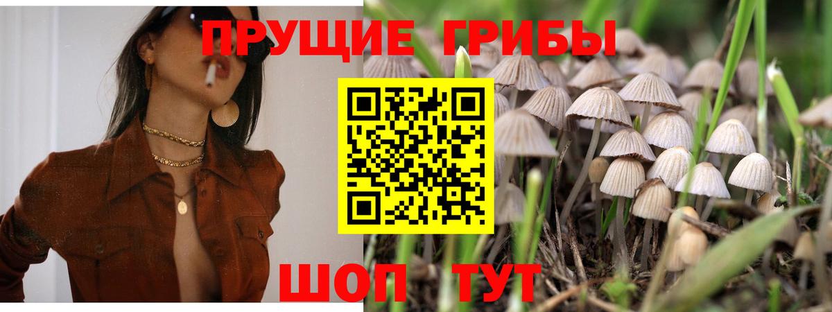 Галлюциногенные грибы мицелий Малоярославец